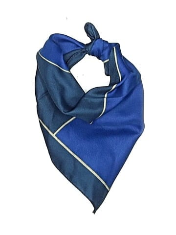 Christian Dior Scarf (view 1)