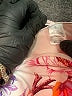 Nanette Lepore 100% Polyester Print Ivory Swimsuit Bottoms Size 10 - photo 4
