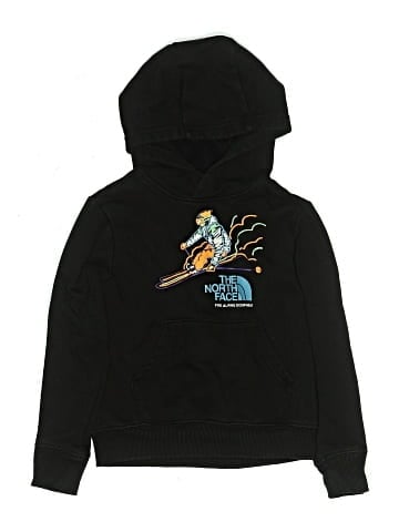 The North Face Pullover Hoodie (view 1)