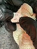 Unbranded Tan Pullover Sweater Size L - photo 7