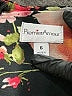 premier amour Floral Black Jumpsuit Size 6 - photo 4
