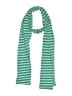 Gap Stripes Teal Scarf One size - photo 1