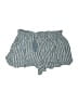 American Eagle Outfitters Stripes Blue Shorts Size XL - photo 1