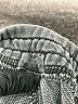 Assorted Brands Gray Casual Pants Size M (estimated) - photo 7