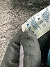 Lands' End Teal Vest Size S - photo 7