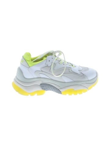 Ash Sneakers (view 1)