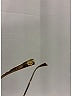 Versace Gold Sunglasses One size - photo 7