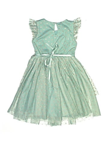 Zunie Dress (view 2)