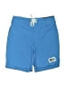 Assorted Brands Blue Board Shorts Size 4T - photo 1