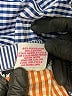 Gretchen Scott Designs Checkered-gingham Blue 3/4 Sleeve Blouse Size M - photo 7