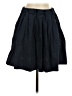Everlane Solid Blue Casual Skirt Size 0 - photo 1