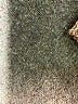 Free People 100% Cotton Brown Pullover Sweater Size S - photo 8
