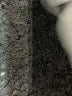 Style&Co White Cargo Shorts Size 18 - photo 4