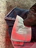 Style&Co Blue Jeans Size 18 - photo 5