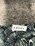 Assorted Brands Gray Long Sleeve Blouse Size XL (estimated) - photo 7