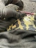 Glare Animal Print Gray Cocktail Dress Size S - photo 7
