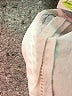 Zara Floral Ivory 3/4 Sleeve Blouse Size M - photo 8