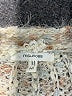 Maurices Tan Cardigan Size M - photo 7