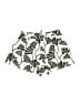 Assorted Brands Print Ivory Shorts Size XXL - photo 1