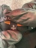 19 Cooper Paisley Black Jumpsuit Size S - photo 5