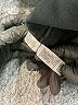 Gildan Black Pullover Hoodie Size M - photo 8