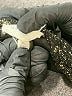 MELLODAY Graphic Black Cocktail Dress Size XL - photo 9