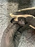 Mossimo Silver Cargo Pants Size 16 - photo 8