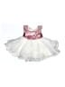 Unbranded Silver Dress Size 70 cm / US 6-9 MO - photo 1