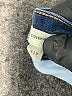 Madewell Blue Jeans Size 31 waist (petite) - photo 5