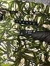 Theory Green Sleeveless Top Size 6 - photo 7