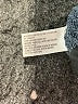 Wild Fable Checkered-gingham Teal Turtleneck Sweater Size XXS - photo 8