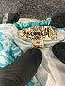 One World Paisley Teal Casual Dress Size M - photo 7