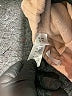 Coccode Tan Casual Pants 9-12 MO / 12 MO - photo 4