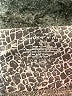 Summersalt Animal Print Gray Athletic Shorts Size 4 - photo 3