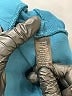 Betabrand Solid Teal Active Pants Size Lg LONG - photo 8