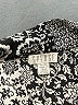 Spense 100% Polyester Gray Sleeveless T-Shirt Size XL - photo 7