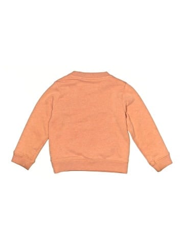 Primary Clothing Sweatshirt (view 2)