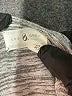 Lou & Grey Chevron-herringbone Silver Cocktail Dress Size XS - photo 4