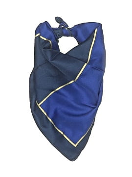 Christian Dior Scarf