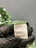 Shein 100% Polyester Green Sleeveless Top Size S - photo 8