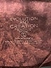 Evolution and Creation Burgundy Active Pants Size S - photo 4