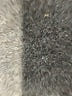 Lane Bryant Houndstooth Gray Formal Skirt Size 20 - photo 4