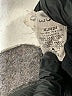 SOHO Apparel Ltd Solid Black Casual Pants Size 3X - photo 6