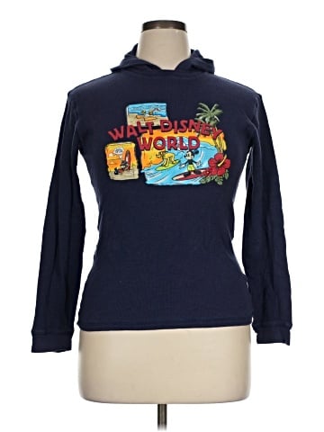 Disney Parks Pullover Hoodie (view 1)