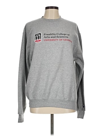 Champion Sweatshirt (view 1)