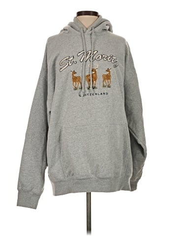 Brandy Melville Pullover Hoodie (view 1)