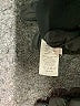 1.State 100% Polyester Black Sleeveless Blouse Size S - photo 8