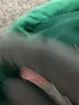Tiny Green Cocktail Dress Size 4 - photo 8