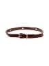Unbranded Brown Belt Size M - photo 1