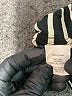 J.Crew 100% Cotton Stripes Black Sleeveless Button-Down Shirt Size 4 - photo 8